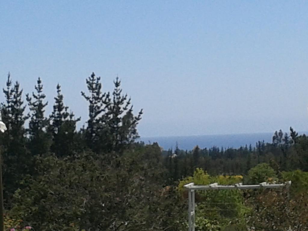 El Algarrobo ألغاروبو المظهر الخارجي الصورة